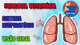 Sistema respiratório  Visão geral  Fisiologia veterinária  Aula 1 [upl. by Analeh]