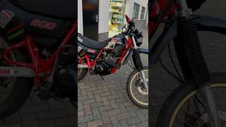 1985 Yamaha XT600 [upl. by Tirb]