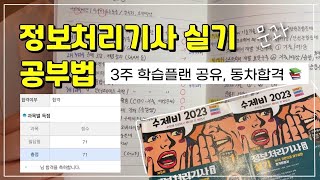 정보처리기사 실기 공부법 🧑‍💻💻 동차합격 • 비전공자 • 공부계획 공유 • 프로그래밍 언어 공부 꿀팁 [upl. by Arlina]