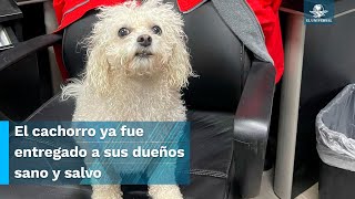 ¡Todo un héroe Socorrista rescata a perrito que nadaba mar adentro y se vuelve viral [upl. by Dickens]