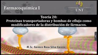 Teoría 20 Proteínas transportadoras y bombas de eflujo [upl. by Yenroc]