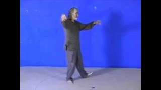 Tai Chi Structure amp Movement Part 1 [upl. by Ardnuhs325]