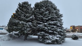 Blizzard Conditions in New Mexico  Clayton NM [upl. by Fessuoy]