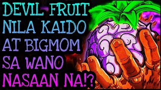 DEVIL FRUITS SA WANO KUKUNIN NI BLACKBEARD  One Piece Tagalog Analysis [upl. by Adest]