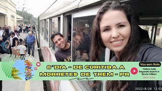 De TREM pela Mata mais AMEAÇADA do Mundo  Curitiba a Morretes  Paraná [upl. by Ahsinat605]