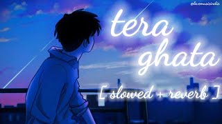 TERA GHATA   SLOWED  REVERB   LOFI SONG  USE HEADPHONES 🎧  LOVE MUSIC INDIA [upl. by Serafine]