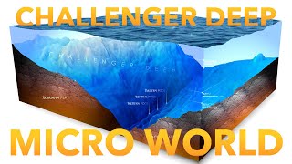 Challenger Deep as a Micro World [upl. by Codel]