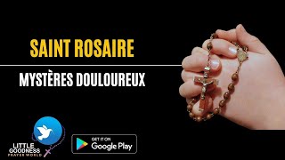 SAINT ROSAIREMystères Douloureux HOLY ROSARY IN FRENCHSorrowful MysteriesTuesday amp Friday Rosary [upl. by Misa]