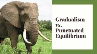 Virtual Lesson 1 Gradualism vs Punctuated Equilibrium [upl. by Solhcin]