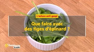 Que faire avec des tiges dépinard   La Quotidienne la suite [upl. by Liek]