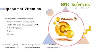 Liposomal Vitamins  What is Liposomal Vitamin C  Liposome Encapsulation  BOC Sciences [upl. by Barden]