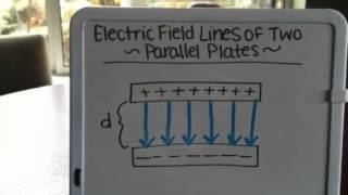 Parallel plate capacitor electric field lines [upl. by Meehan]