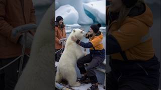 Polar Bears Heartwarming Rescue polarbearrescue wildlifeconservation arcticanimals [upl. by Callahan]