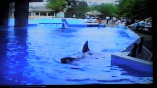 SeaWorld1995 [upl. by Mendoza]