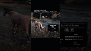 RDR2 • All American Standardbred Horse Colors and Locations • Red Dead Redemption 2 [upl. by Fulmis]