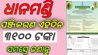 Farmer Registration For Dhana Mandi 202425  Dhana Mandi Registration Odisha 202425dhan mandi [upl. by Bevers]