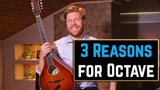 3 Reasons Why I Think You Should Play the Octave Mandolin [upl. by Renato]