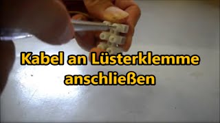 Anleitung Kabel richtig an Lüsterklemme anschließen Lüsterklemme verdrahten benutzen [upl. by Shanna565]