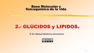 021 Glucidos Conceptos Generales [upl. by Rodie]