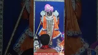 द्वारिकाधीश के संध्या आरती के दर्शनjaydwarkadhishyoutubeyoutubeshorts [upl. by Notla]