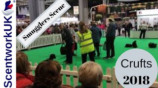 Scentwork UK display at Crufts 2018 [upl. by Sirk]