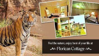 Florican Cottage  Manas National Park [upl. by Naquin]