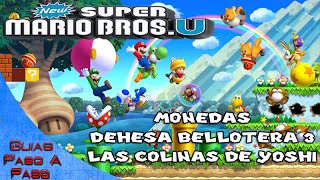 New Super Mario Bros U  Localización de Monedas  Dehesa Bellotera 3 Las colinas de Yoshi [upl. by Tryck]