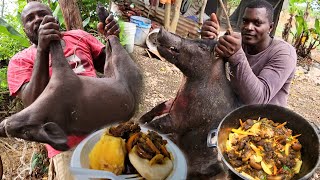 the most terrifying wild boar attack catch clean and cook brown stew curry [upl. by Sirrot]