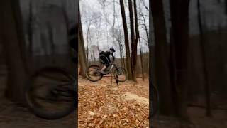 Huge gaps at the shed mtb [upl. by Felike734]