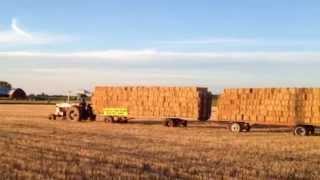 IHC 1206 Tractor Pulling 20 Loaded Hay Racks  Chuck Timm [upl. by Stroup]