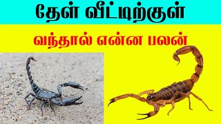 தேள் வீட்டிற்குள் வந்தால் என்ன பலன் Indian Astrology predictions karuvandu T Tamil Technology [upl. by Natrav901]