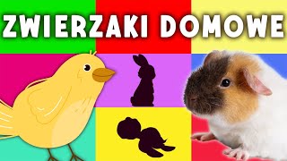 🐹 🐤 🐱 Zwierzęta domowe 🐢🐕 🐠 Zgaduj razem z nami  Zagadki dla dzieci [upl. by Sadnalor]