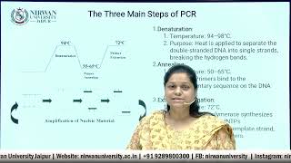 PCR and Primer Specificity Enhancing Amplification Accuracy  Dr Jyotsna Daymas Insights [upl. by Nyrrad443]