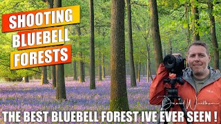 Photographing Bluebells  Landscape Photography  Dorset  Bluebell Forests [upl. by Meelak]