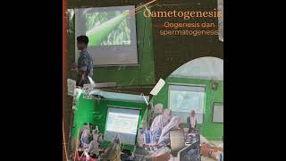 Gametogenesis Mapel Biologi sman11pinrang humassmanses [upl. by Estren]