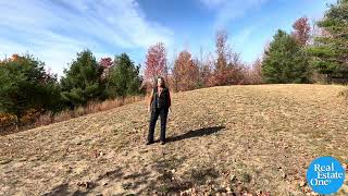 Vacant Land Parcel near Traverse City MI [upl. by Emarej]