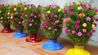 Beautiful Flower Garden How To Make Beautiful Flower Pots From Plastic Bottles For The Garden [upl. by Sudnak]