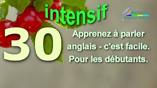 Cours anglais en ligne  Сonversation pour les débutants  beginners Intensif YouTube Leçon 30 [upl. by Selemas]