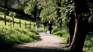 Video Of Grasmere Lake District Cumbria [upl. by Larred]