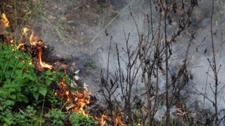 19072013 Bahndamm und Waldbrand Gloggnitz Aue Einsatzdoku [upl. by Ynaffet]