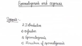 spermatogenesis and oogenesis notes pdf MSc zoology [upl. by Annitsirhc]