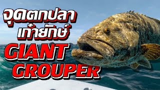 Fishing Planet l หมายปลาเก๋ายักษ์ Giant Grouper [upl. by Ferd]