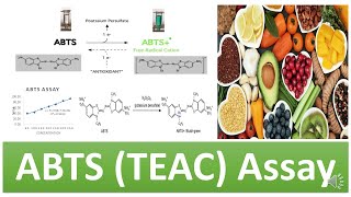 ABTS TEAC  TroloxEquivalent Antioxidant Capacity Assay  Principle Advantages amp Limitations [upl. by Idas]