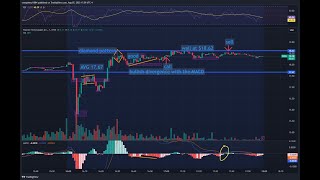 PLTR EARNINGS LIVE Technical Analysis Minimal Commentary [upl. by Oibaf]