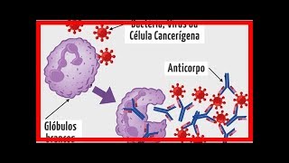 O que são e para que servem os Anticorpos Monoclonais [upl. by Hallock]