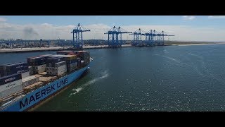 Disruption Defined Maersk navigates data to move goods globally [upl. by Itsrik]