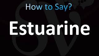 How to Pronounce Estuarine CORRECTLY [upl. by Nileuqaj]