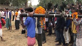 Madai Festival in Gobarahin Bastar Chhattisgarh [upl. by Lorri]