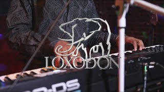 Loxodon  The Snare  Live [upl. by Katinka]