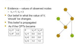 pearls belief propagation algorithm [upl. by Aissirac]